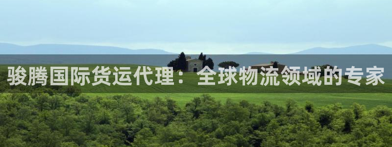尊龙d88ag旗舰厅：骏腾国际货运代理：全球物流领域的专