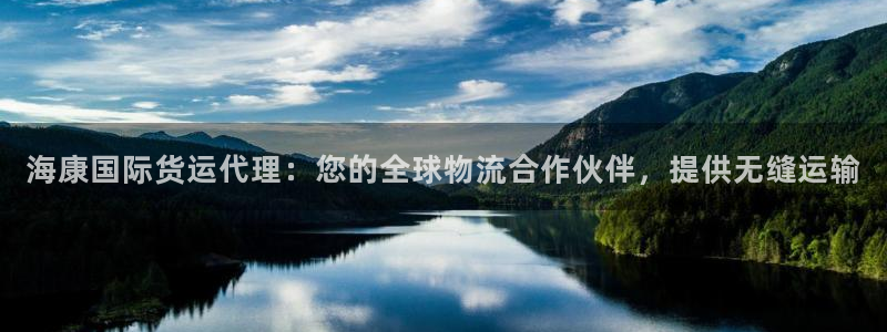 尊龙凯时和九游会哪个平台好一点：海康国际货运代理：您的全
