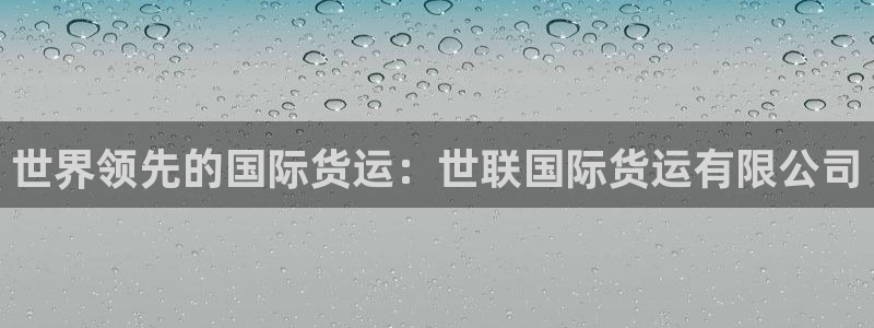 尊龙人生就是博登录：世界领先的国际货运：世联国际货运有限