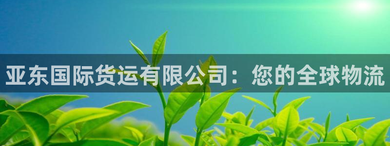 尊龙凯时人生就是搏!官网：亚东国际货运有限公司：您的全球