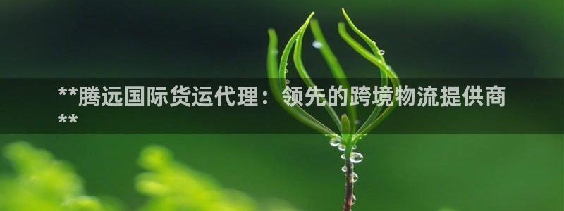 尊龙AG旗舰厅官网：**腾远国际货运代理：领先的跨境物流