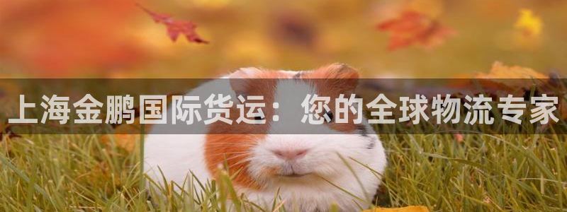 尊龙百度百科