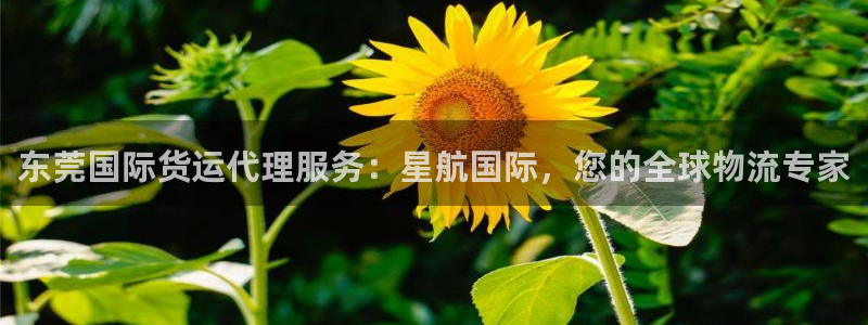 尊龙凯时输了100万
