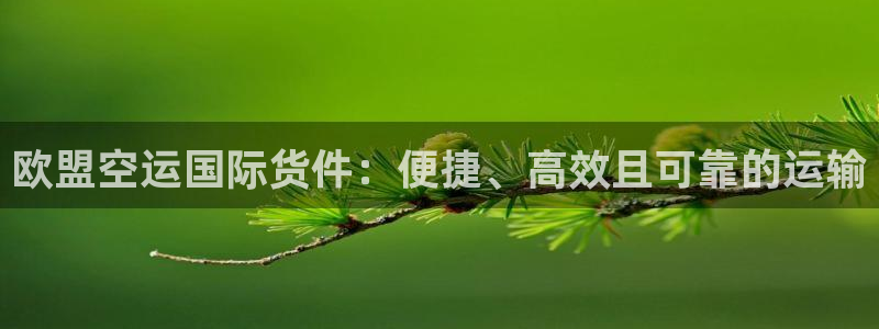 尊龙凯时网站首页手机登录：欧盟空运国际货件：便捷、高效且