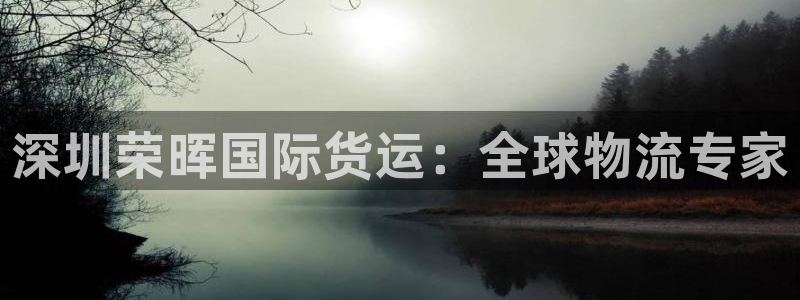尊龙体育游戏平台：深圳荣晖国际货运：全球物流专家