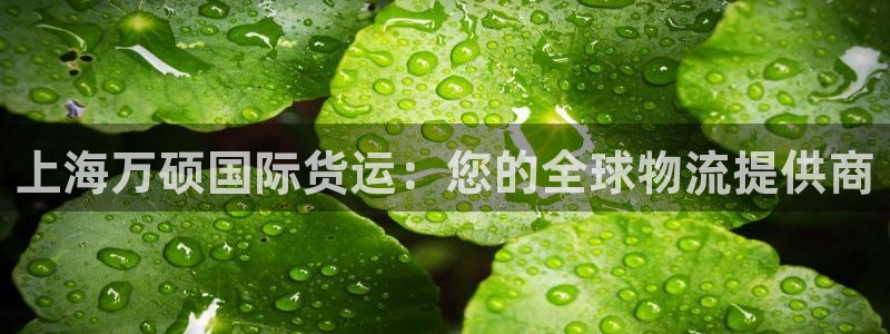 尊龙尊龙：上海万硕国际货运：您的全球物流提供商