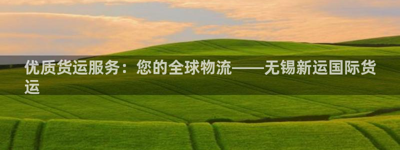 尊龙实业有限公司属于国企吗：优质货运服务：您的全球物流—