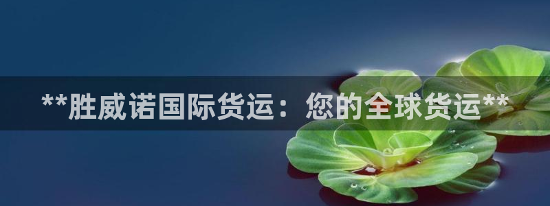 尊龙官方：**胜威诺国际货运：您的全球货运**