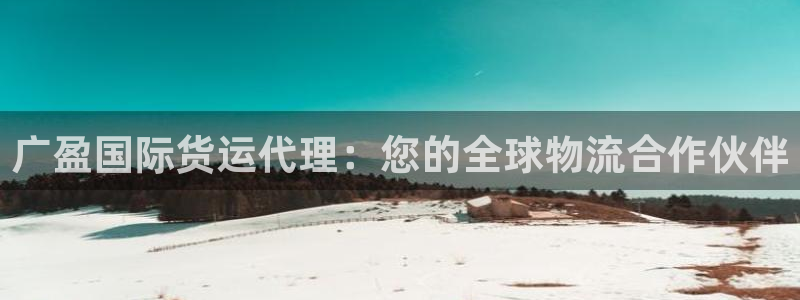 尊龙d88手机app免费下载：广盈国际货运代理：您的全球