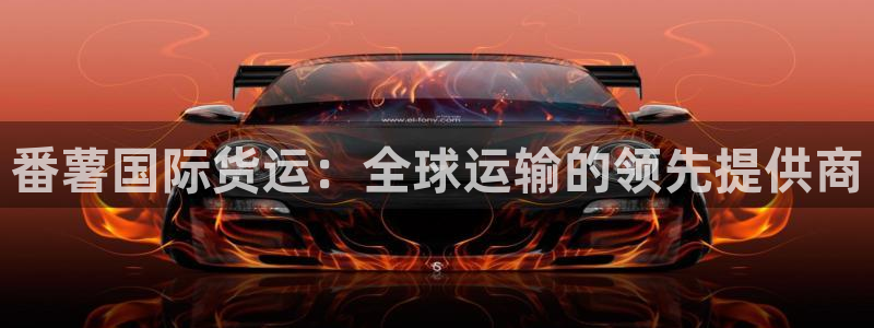 尊龙实业有限公司：番薯国际货运：全球运输的领先提供商