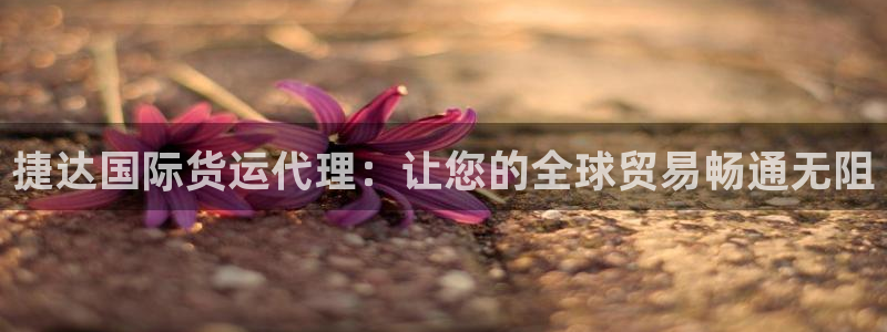 尊龙网页：捷达国际货运代理：让您的全球贸易畅通无阻