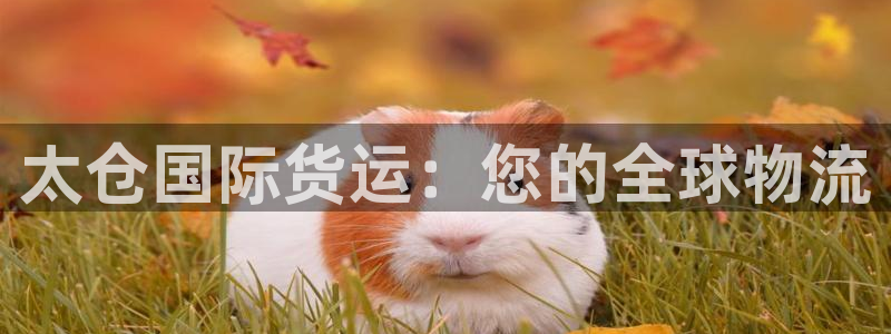 尊龙集团有限公司地址：太仓国际货运：您的全球物流