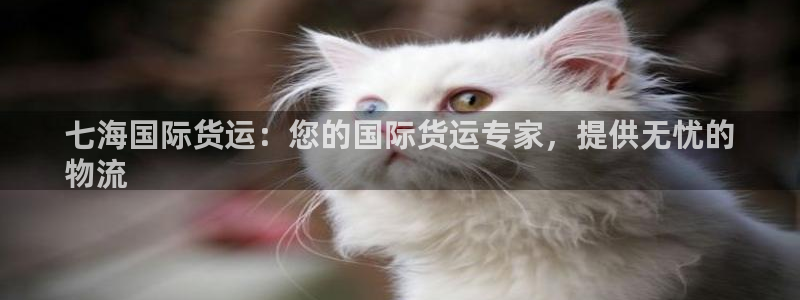 尊龙—人生就是博：七海国际货运：您的国际货运专家，提供无