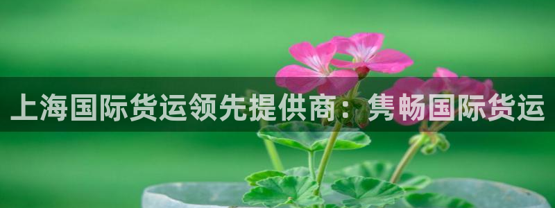 尊龙人生就是博登录准认来就送38：上海国际货运领先提供商