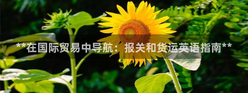 尊龙人生就是博客服：**在国际贸易中导航：报关和货运英语
