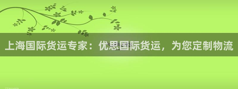尊龙凯时老板是谁：上海国际货运专家：优思国际货运，为您定