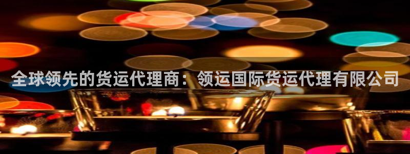 尊龙ktv怎么样：全球领先的货运代理商：领运国际货运代理