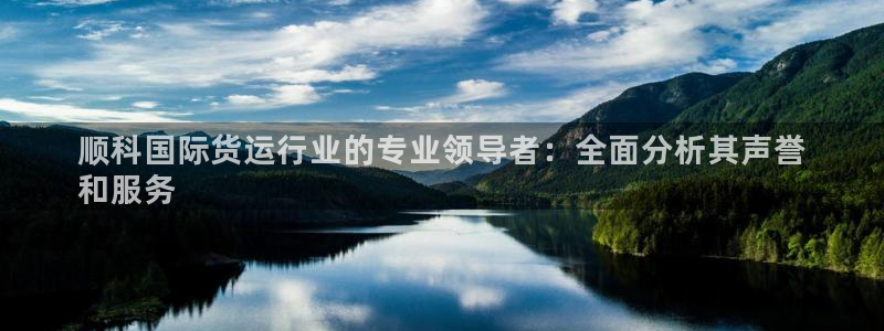 尊龙凯时能做退米么：顺科国际货运行业的专业领导者：全面分
