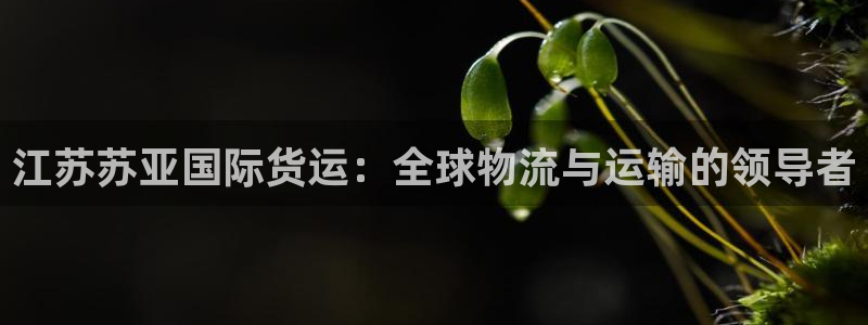 Z6尊龙凯时官方：江苏苏亚国际货运：全球物流与运输的领导