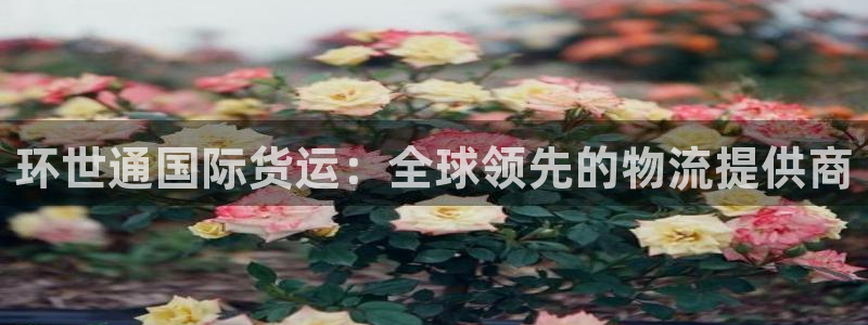 尊龙凯时人生就是搏技术实力：环世通国际货运：全球领先的物