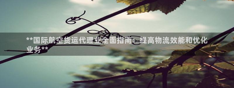 尊龙d88官网去来就送38：**国际航空货运代理业全面指