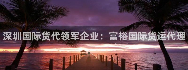 尊龙官网APP下载：深圳国际货代领军企业：富裕国际货运代