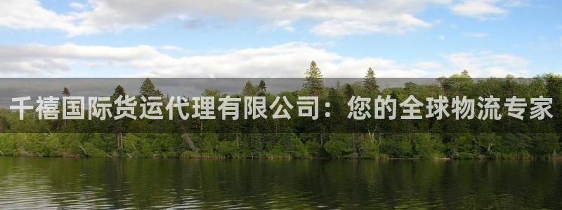 尊龙官网免费下载安装：千禧国际货运代理有限公司：您的全球