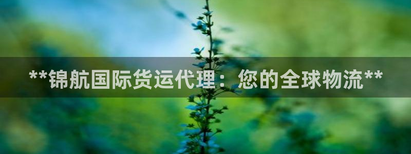 尊龙官网国际：**锦航国际货运代理：您的全球物流**