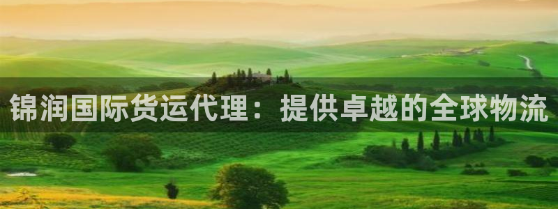 尊龙app怎么样：锦润国际货运代理：提供卓越的全球物流