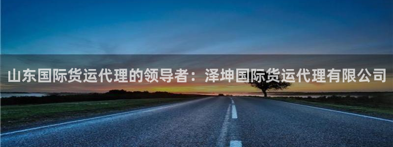 尊龙人生就是博旗舰厅：山东国际货运代理的领导者：泽坤国际