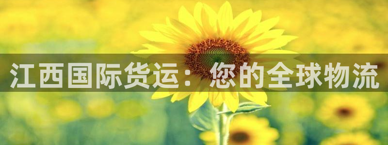 尊龙凯时取款24小时不到账：江西国际货运：您的全球物流