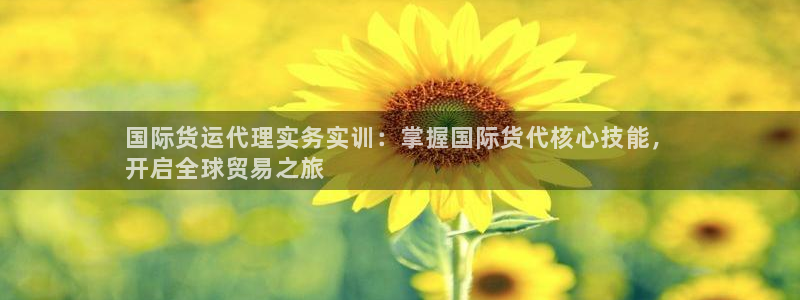 尊龙 贴吧：国际货运代理实务实训：掌握国际货代核心技能，