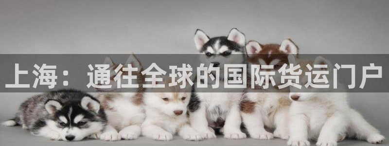 尊龙d88现金关注ag发财网：上海：通往全球的国际货运门