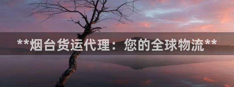 尊龙官方app下载：**烟台货运代理：您的全球物流**