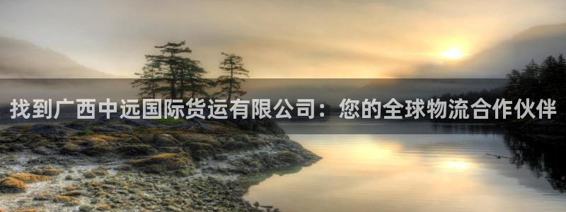 尊龙人生手机版都去ag发财网：找到广西中远国际货运有限公