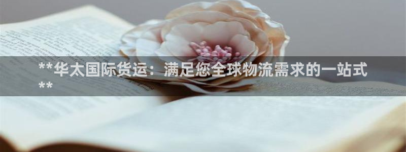 尊龙人生就是博现金：**华太国际货运：满足您全球物流需求