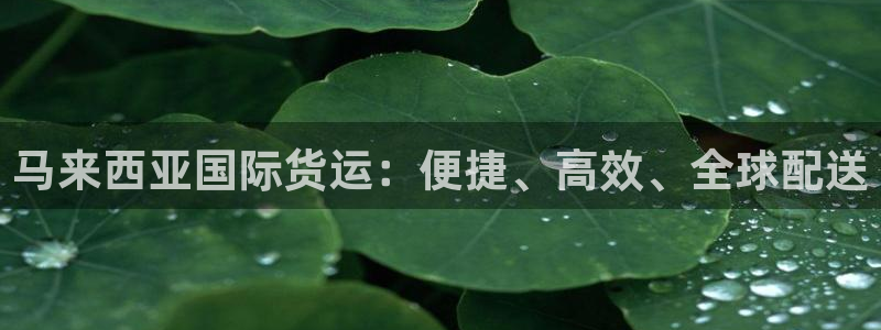 尊龙凯时人生就是搏平台：马来西亚国际货运：便捷、高效、全