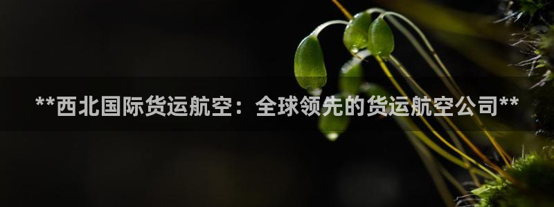 尊龙凯时ag旗舰厅登陆：**西北国际货运航空：全球领先的