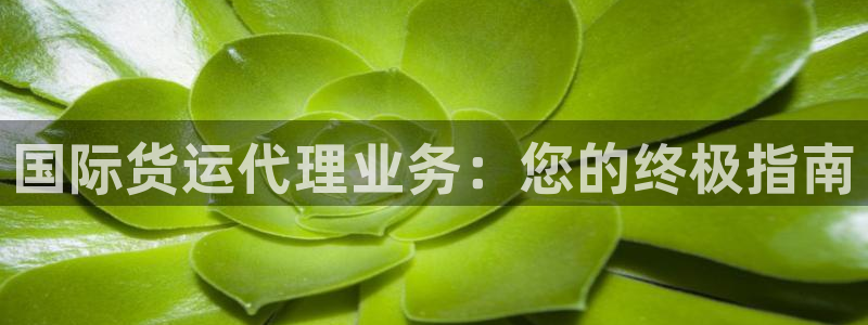尊龙d88用现推选ag发财网：国际货运代理业务：您的终极
