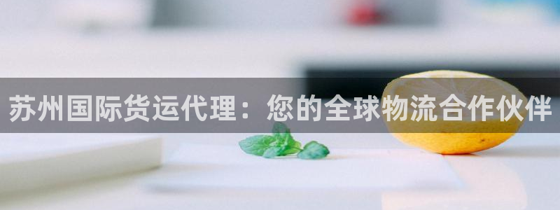 尊龙物流官网：苏州国际货运代理：您的全球物流合作伙伴