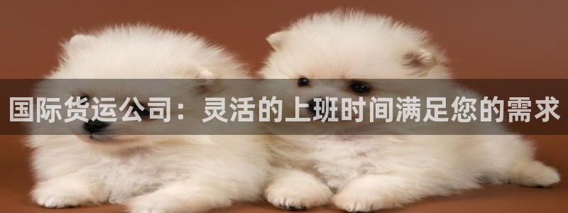 尊龙凯时平台还是万搏好：国际货运公司：灵活的上班时间满足