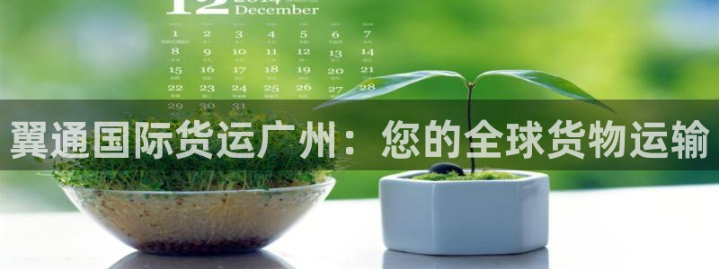尊龙官网/首选kpm：翼通国际货运广州：您的全球货物运输