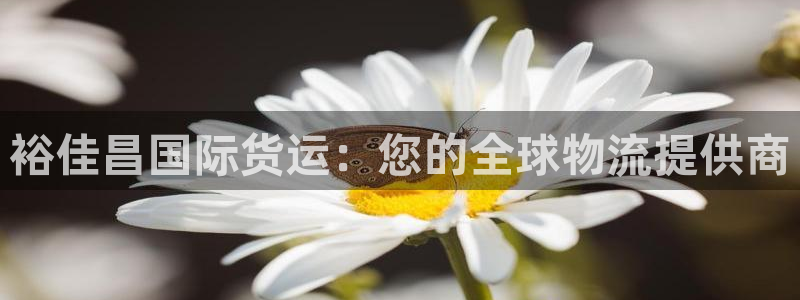 尊龙凯时是赌博嘛：裕佳昌国际货运：您的全球物流提供商