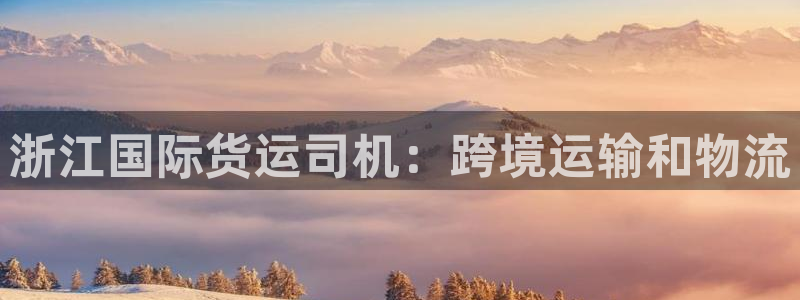 尊龙凯时平台不给出款怎么办：浙江国际货运司机：跨境运输和