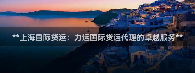 尊龙eight is enough：**上海国际货运：力