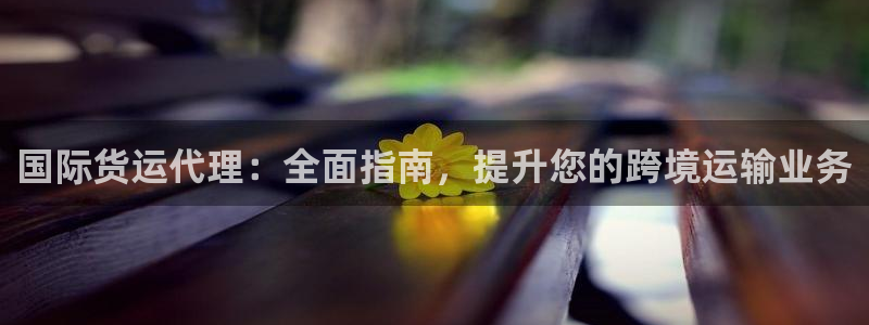 尊龙凯时 - 人生就是搏!：国际货运代理：全面指南，提升