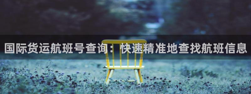 尊龙t400和尊龙t300区别：国际货运航班号查询：快速