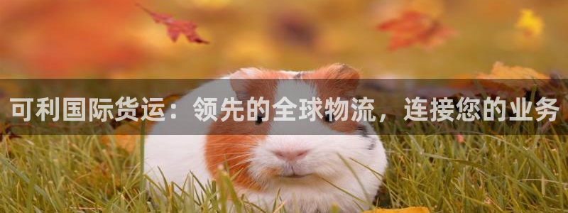 尊龙物流怎么样：可利国际货运：领先的全球物流，连接您的业