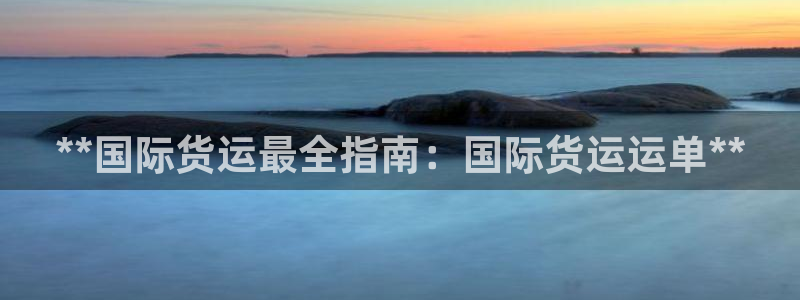 尊龙 10：**国际货运最全指南：国际货运运单**