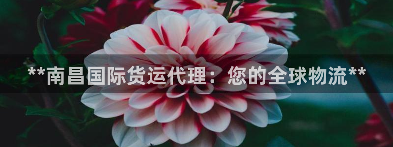 尊龙手机官方客户端下载：**南昌国际货运代理：您的全球物